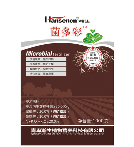 星空体育app官网入口