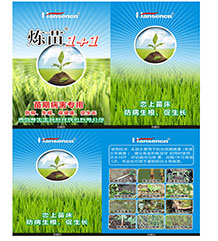 炼苗（霜霉威盐酸盐+助剂）